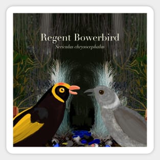 Regent Bowerbirds (text) Sticker